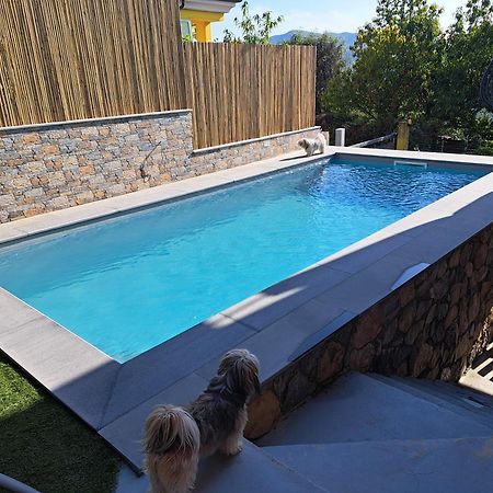La Fontanella Apartment Polverara Bagian luar foto