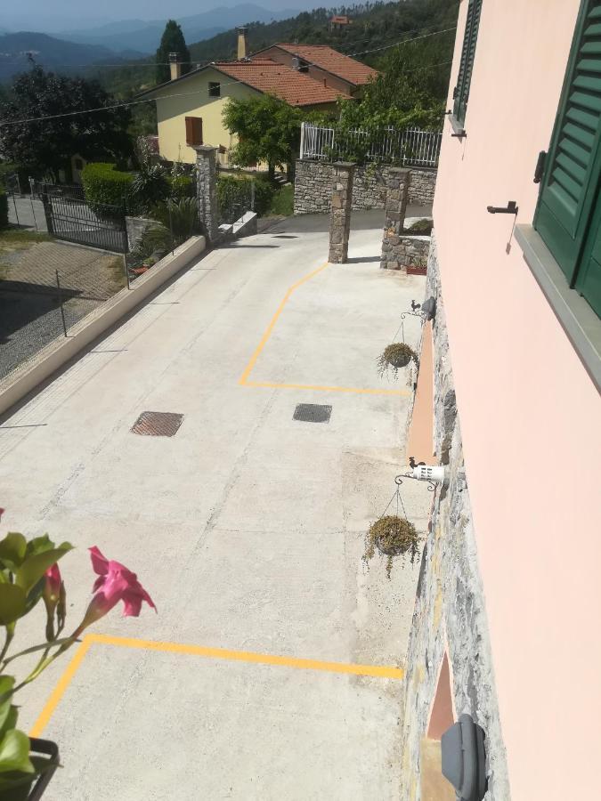 La Fontanella Apartment Polverara Bagian luar foto