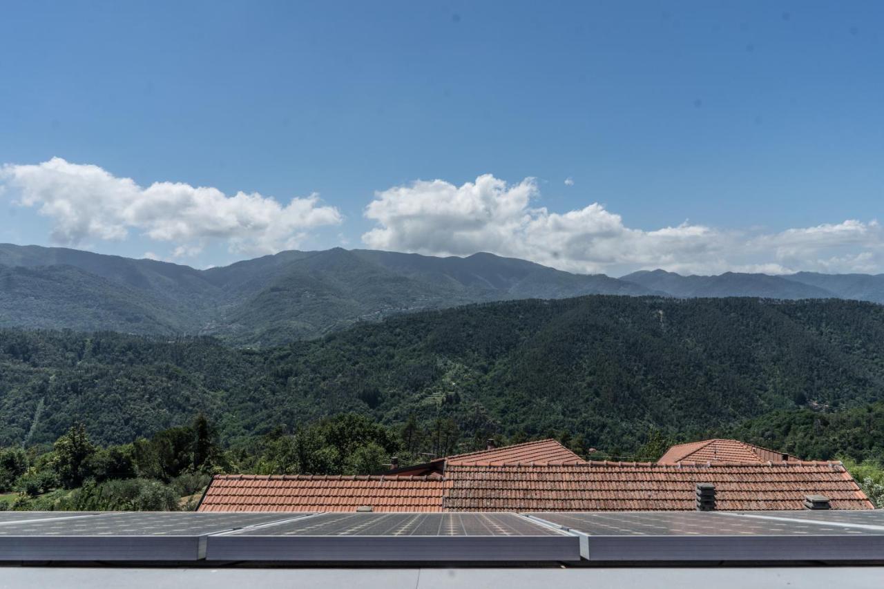 La Fontanella Apartment Polverara Bagian luar foto