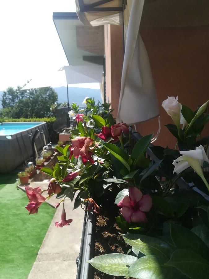 La Fontanella Apartment Polverara Bagian luar foto