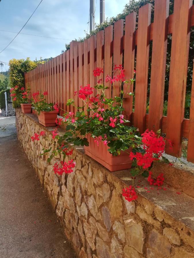 La Fontanella Apartment Polverara Bagian luar foto